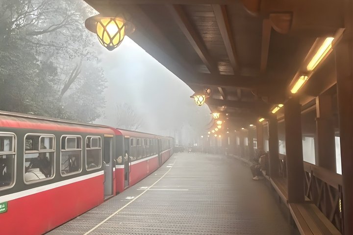 Alishan Join-in Day Tour from Chiayi (Incl. Park Entrance)