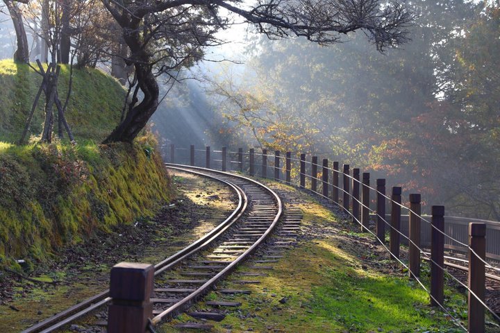 Alishan Join-in Day Tour from Chiayi (Incl. Park Entrance)