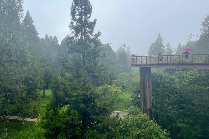 Alishan Join-in Day Tour from Chiayi (Incl. Park Entrance)