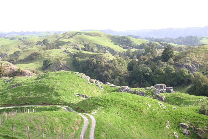 From Auckland: Spellbound, Waitomo Glowworm Cave Small Group Tour