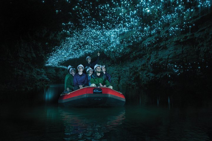 From Auckland: Spellbound, Waitomo Glowworm Cave Small Group Tour