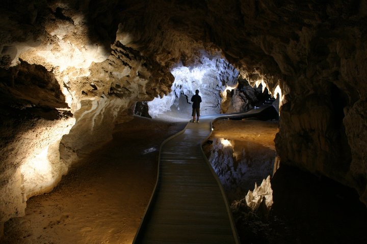 From Auckland: Spellbound, Waitomo Glowworm Cave Small Group Tour