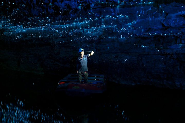 From Auckland: Spellbound, Waitomo Glowworm Cave Small Group Tour