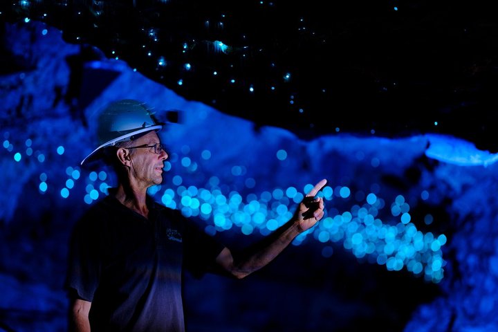 From Auckland: Spellbound, Waitomo Glowworm Cave Small Group Tour