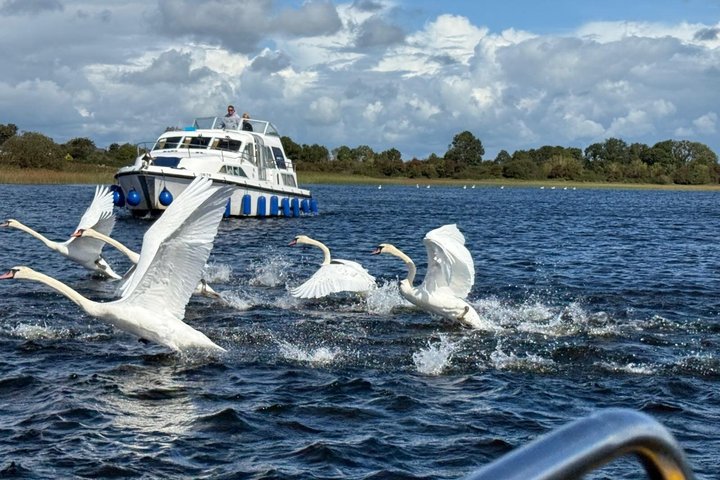 Private Boat Tour on River Shannon to Clonmacnoise, Athlone