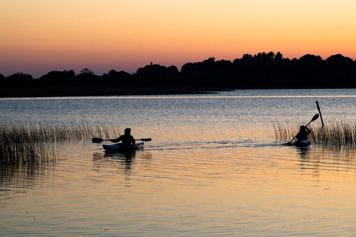 Private Boat Tour on River Shannon to Clonmacnoise, Athlone
