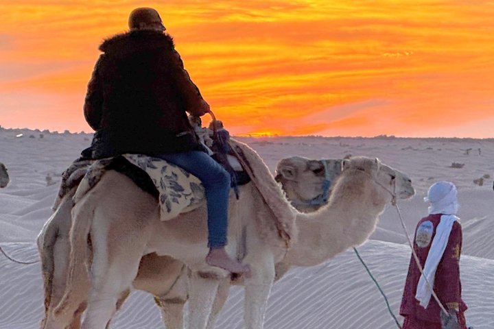 Authentic Desert Camp Experience at Dunes
