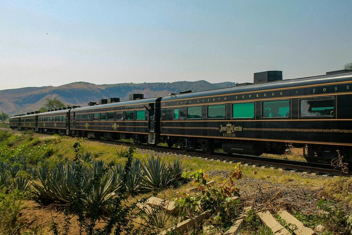 Tequila Day Trip from Guadalajara with Jose Cuervo Express Train