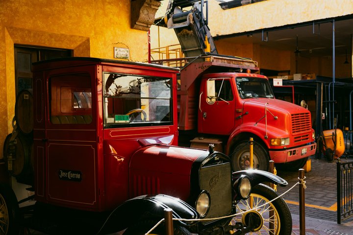 Tequila Day Trip from Guadalajara with Jose Cuervo Express Train