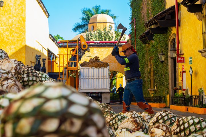 Tequila Day Trip from Guadalajara with Jose Cuervo Express Train