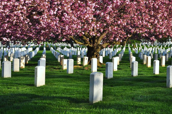 Private Washington DC City Tour