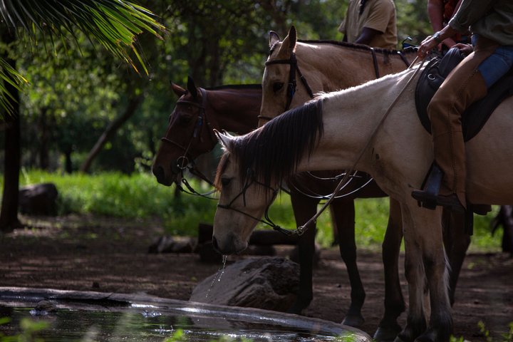 Horseback riding in Tanzania