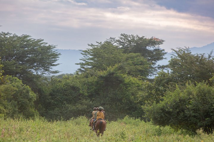 Horseback riding in Tanzania