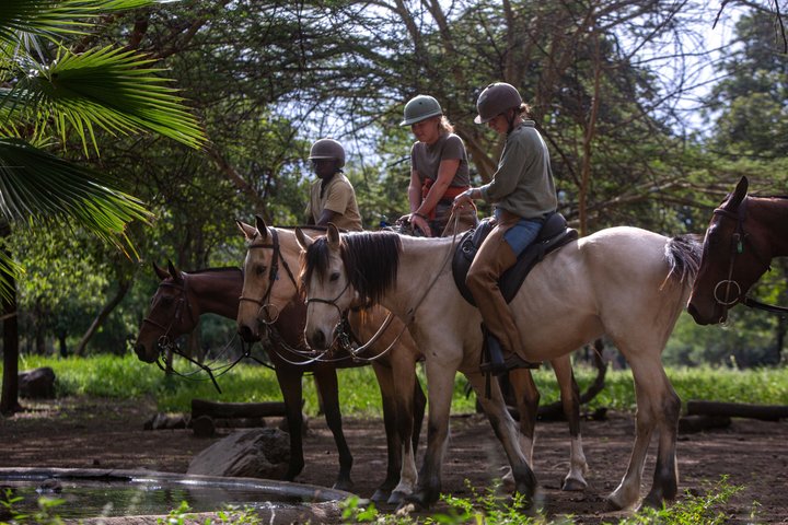 Horseback riding in Tanzania