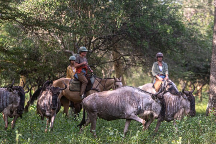 Horseback riding in Tanzania