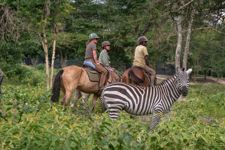 Horseback riding in Tanzania