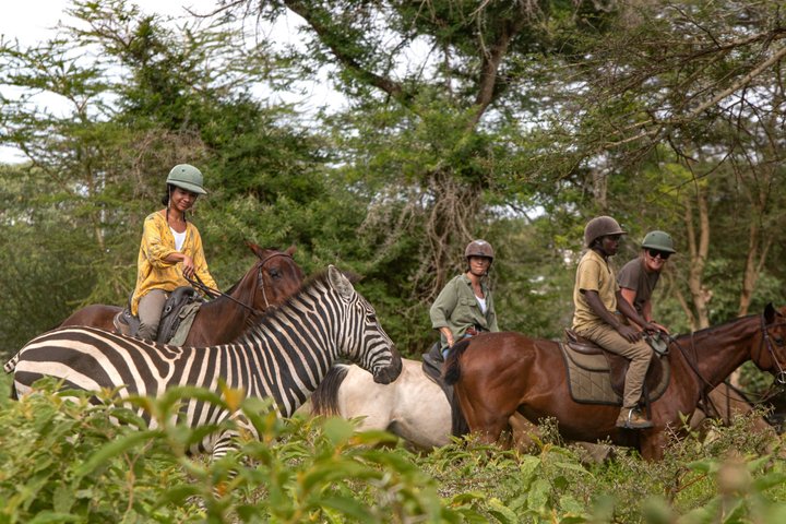 Horseback riding in Tanzania