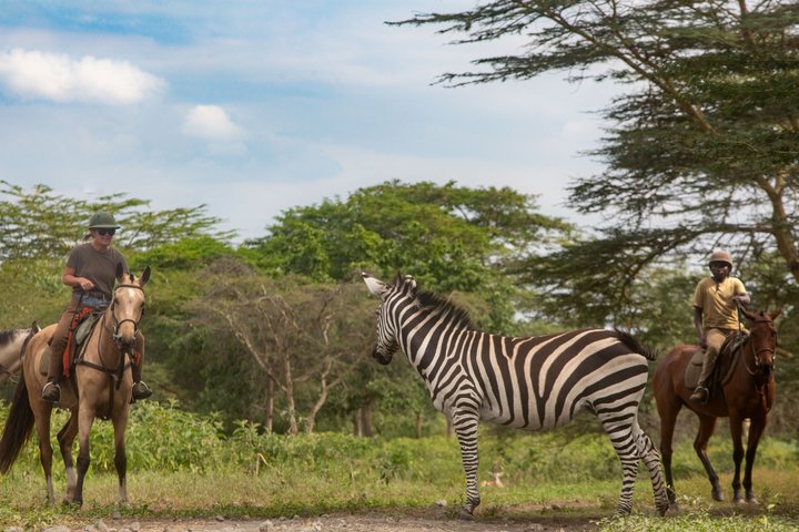 Horseback riding in Tanzania
