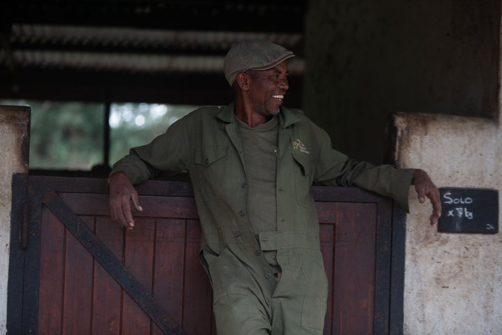 Horseback riding in Tanzania