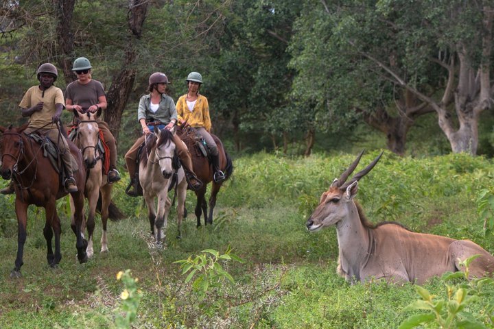 Horseback riding in Tanzania