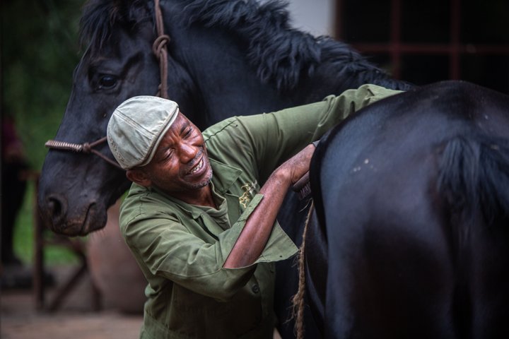 Horseback riding in Tanzania