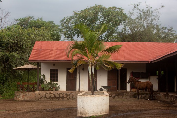 Horseback riding in Tanzania