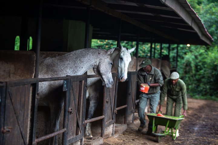 Horseback riding in Tanzania