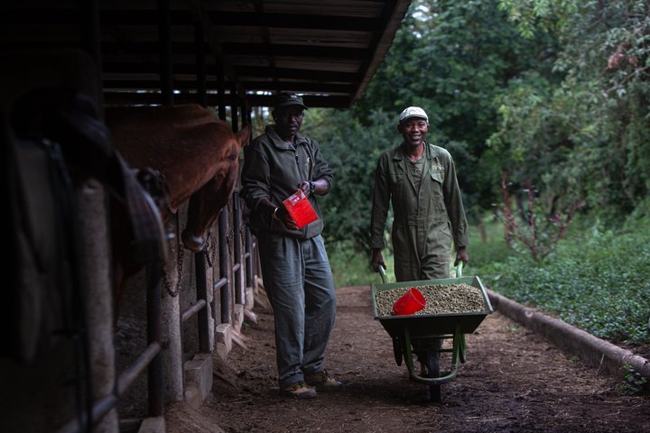 Horseback riding in Tanzania