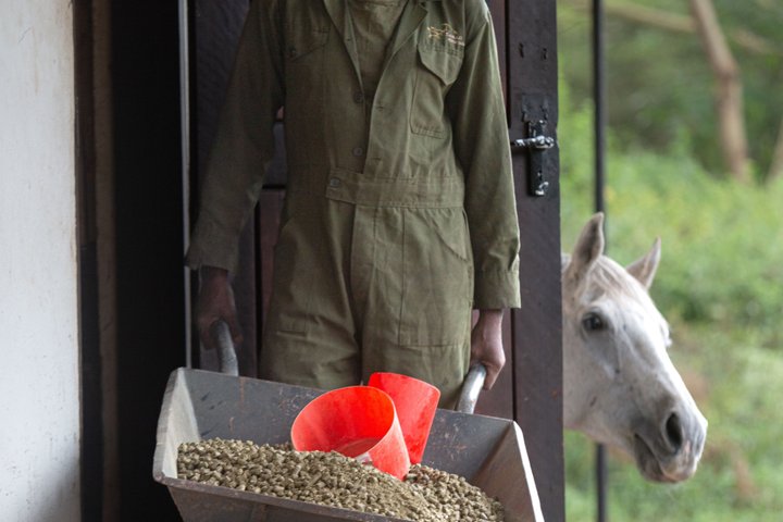 Horseback riding in Tanzania