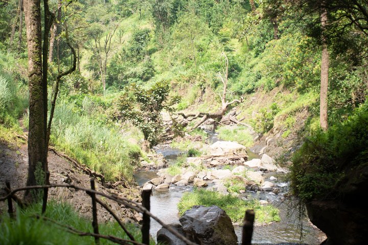 Materuni Waterfalls and Chemka Hot Springs from Arusha and Moshi