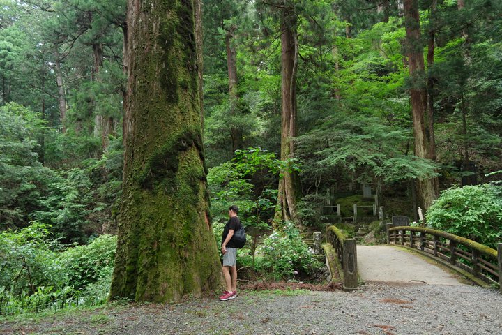 Forest Bathing in Temple and Enjoy onsen with healing power
