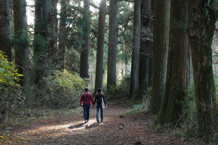 Hike Japan Heritage Hakone Hachiri (Half Day)