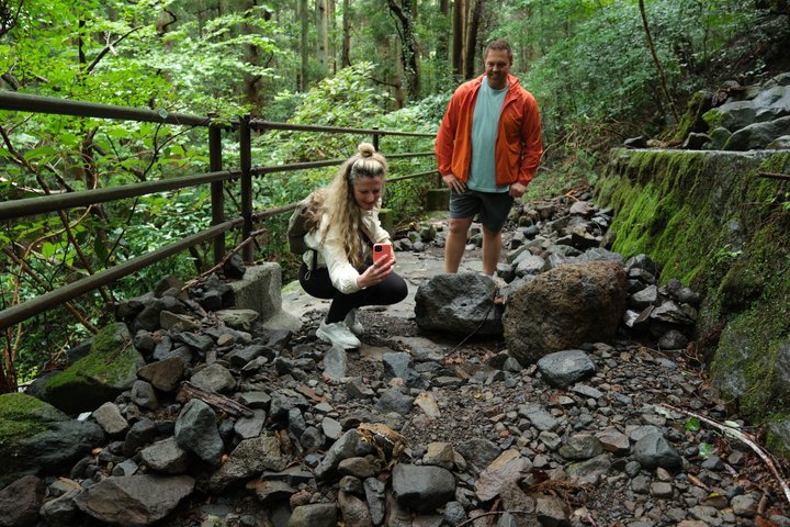 Hike Japan Heritage Hakone Hachiri (Half Day)