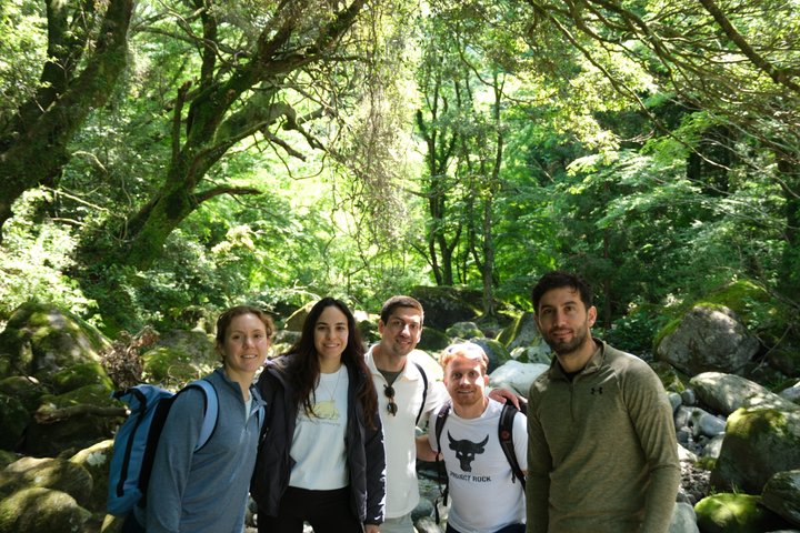 Hike Japan Heritage Hakone Hachiri (Half Day)