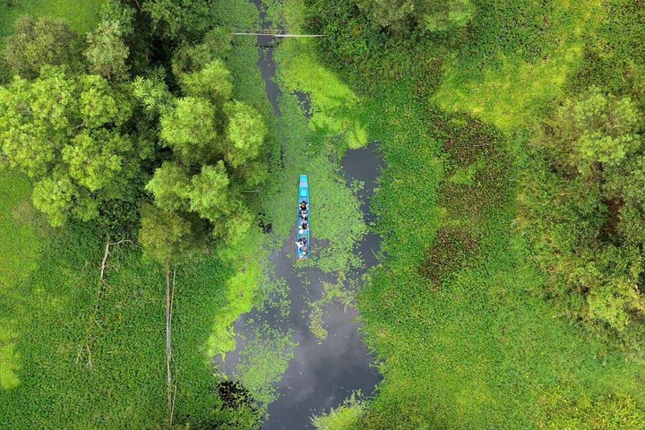 Can Tho: Floating Market, Canals, Nature Reserve & Forest