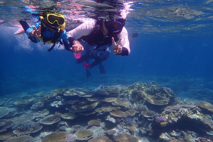 Okinawa Iriomote Barasu Snorkeling and Yubu Sightseeing