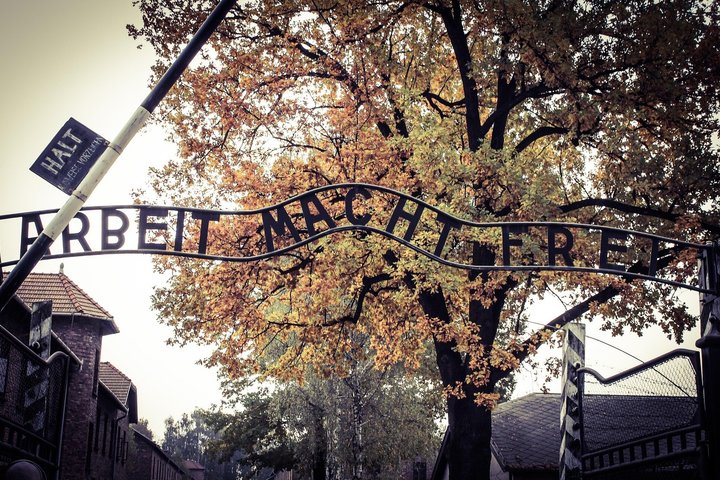 Auschwitz Birkenau Guided Tour Tickets and Transfer from Krakow