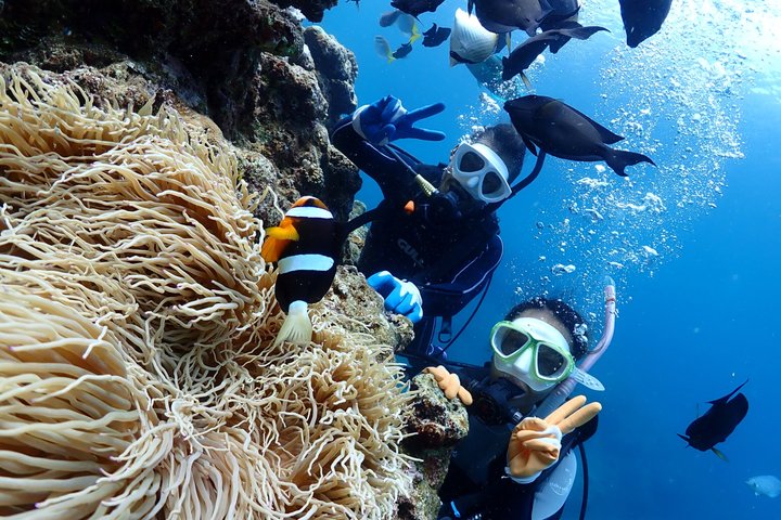 Blue Cave Area Experience Diving!Free feeding & photo images Chinese guide available!1 group with a dedicated instructor