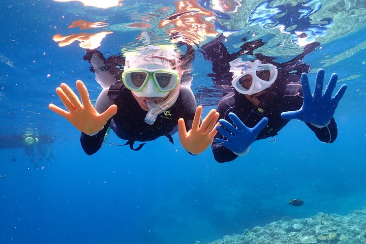 Snorkeling in the Blue Cave area【Okinawa Prefecture: Free feeding & photo images!English and Chinese speaking guide available!