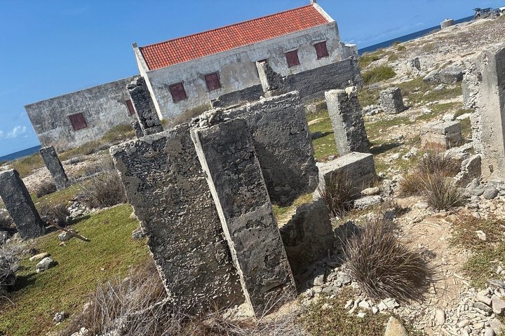 Bonaire's Best Day: Flamingos, Salt Flats, History & Beach