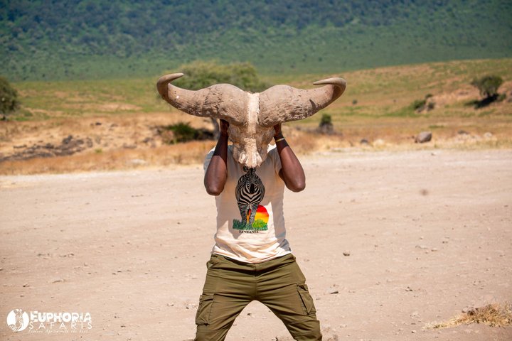 Ngorongoro Crater Day Trip