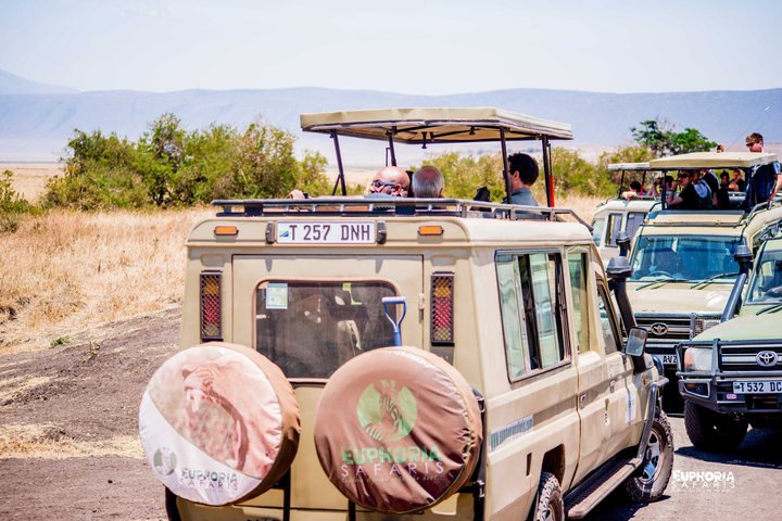 Ngorongoro Crater Day Trip
