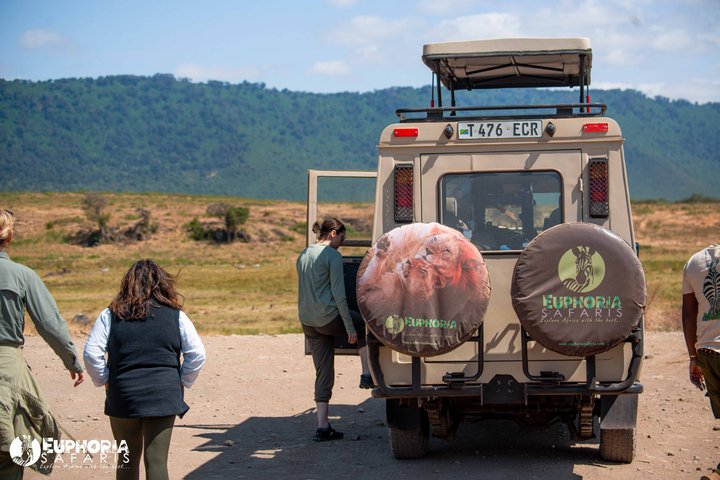 Ngorongoro Crater Day Trip