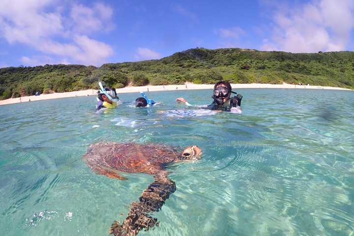 Snorkeling in Miyakojima- Fluent English! Small group!