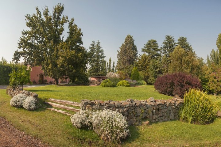 Visit 3 Wineries (The Enemy Included) + Lunch & Private Transport