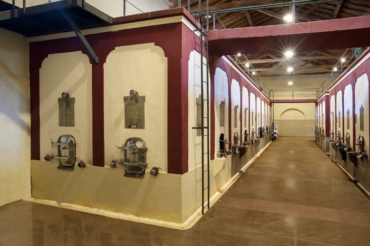 Visit 3 Wineries (The Enemy Included) + Lunch & Private Transport