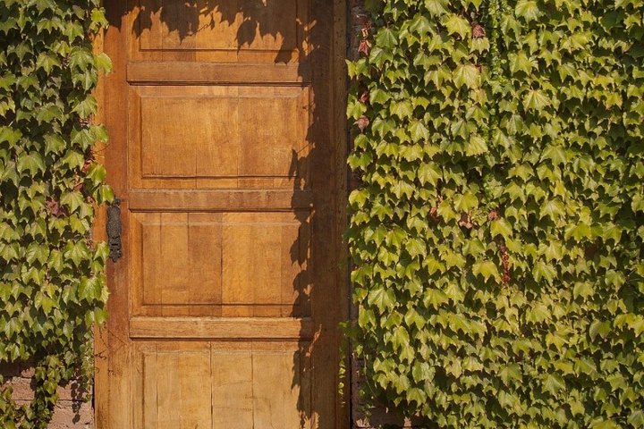 Visit 3 Wineries (The Enemy Included) + Lunch & Private Transport