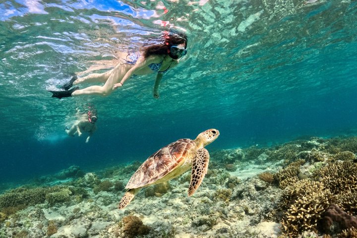 Premium Small-Group Tour with Gili Trawangan Meeting Point