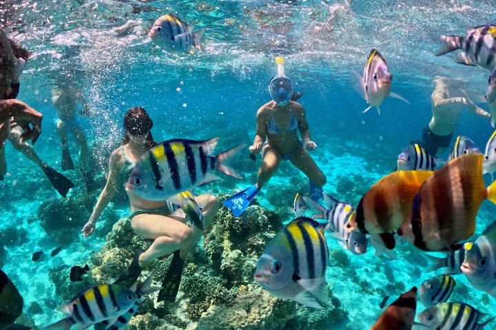 Premium Small-Group Tour with Gili Trawangan Meeting Point