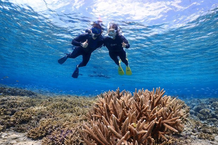 Snorkeling in Miyakojima- Fluent English! Small group!